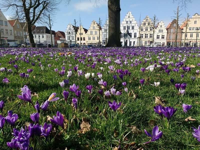 Jugendherberge Friedrichstadt Exterior photo